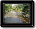 LCP_Reedy_River_Rapids_sized