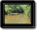 LCP_Reedy_River_View_sized